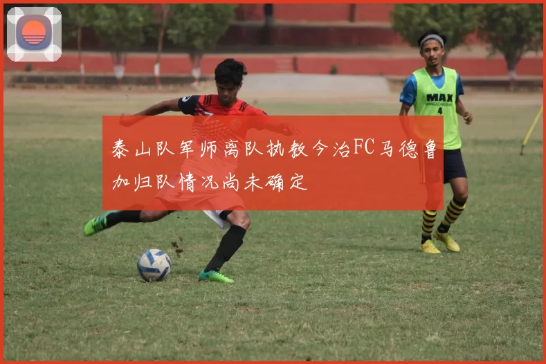 泰山队军师离队执教今治FC马德鲁加归队情况尚未确定