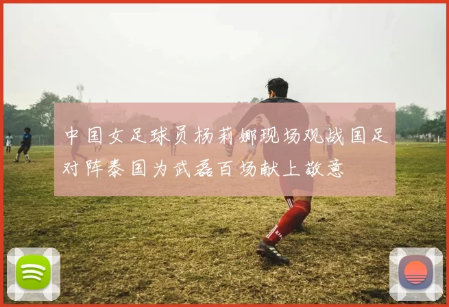 中国女足球员杨莉娜现场观战国足对阵泰国为武磊百场献上敬意