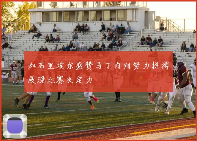 加布里埃尔盛赞马丁内利努力拼搏展现比赛决定力